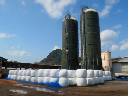 十種ヶ峰プチ登山 十種ヶ峰プチ登山