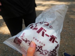 日本海クルーズの旅~おまけの九州観光~ 日本海クルーズの旅~おまけの九州観光~