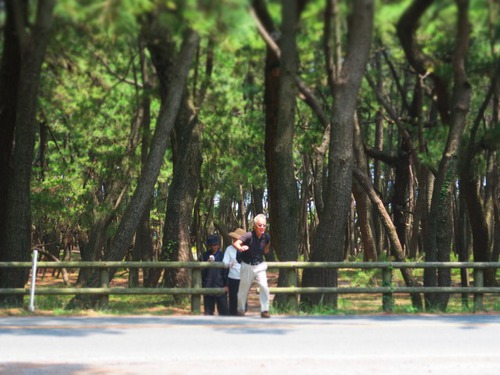 日本海クルーズの旅~おまけの九州観光~ 日本海クルーズの旅~おまけの九州観光~