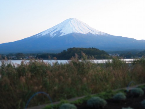 ワインワイン!甲州フルーツマラソン④ ワインワイン!甲州フルーツマラソン④