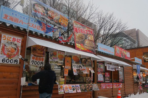 20年以上ぶりの北海道旅⑦すずもいたよ、札幌雪祭り 20年以上ぶりの北海道旅⑦すずもいたよ、札幌雪祭り