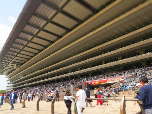 東京B面旅2019⑤子連れでビール工場と競馬場 東京B面旅2019⑤子連れでビール工場と競馬場