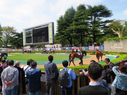 東京B面旅2019⑤子連れでビール工場と競馬場 東京B面旅2019⑤子連れでビール工場と競馬場