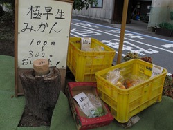 しまなみ海道70km自転車横断旅② しまなみ海道70km自転車横断旅②