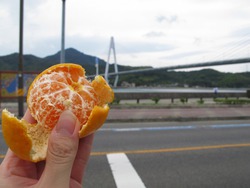 しまなみ海道70km自転車横断旅② しまなみ海道70km自転車横断旅②