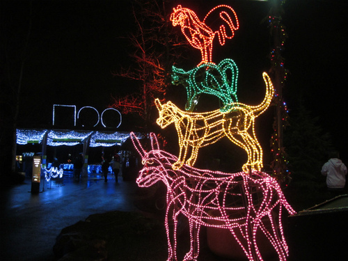 ポートランドで夜の動物園 ポートランドで夜の動物園
