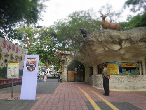 親連れて高雄に行ってきたよ⑪空港見送り、高雄動物園 親連れて高雄に行ってきたよ⑪空港見送り、高雄動物園