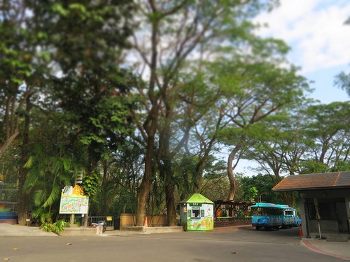 親連れて高雄に行ってきたよ⑪空港見送り、高雄動物園 親連れて高雄に行ってきたよ⑪空港見送り、高雄動物園