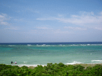仲本海岸