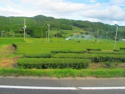 18切符で2度目の鹿児島2