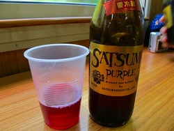 18切符で2度目の鹿児島4