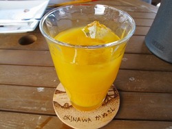 沖縄で年越し-7日目-