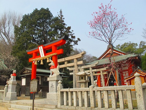 国際フェリーで行く韓国家族旅行8
