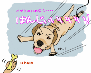 犬の通信簿