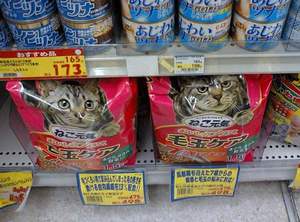 猫ちゃん、怒ってるのぅ?