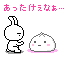 お腹のことあれこれ