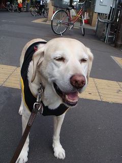 ユンソナさんのおめでた