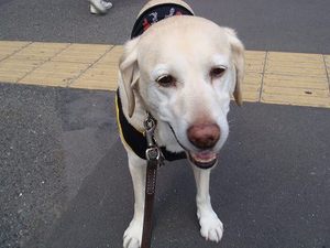 人類は月に行っていない!?