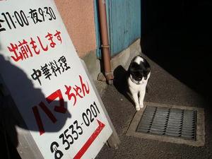 猫パンチごときに・・・。