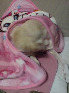 かわいいぶつぞう ふしぎなチカラ