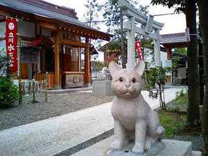 「猫返し神社」で迷子犬祈願
