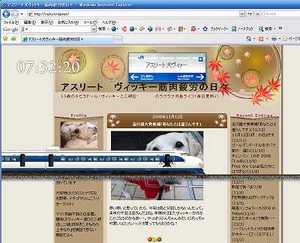 営業運転終了まであと18日、さようなら『0系新幹線』