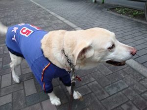 爆笑多胡トーク炸裂@木山裕策シークレットライブ
