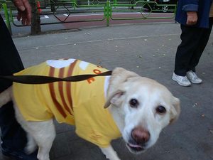 1月11日は犬の日ですワン