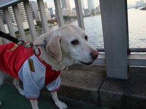 またまたポッコリで病院へ…