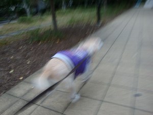 オトコを惑わす色