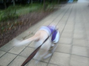 オトコを惑わす色