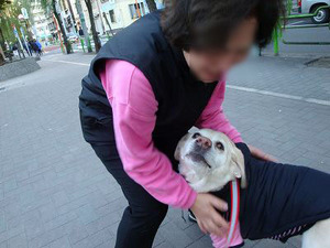 犬の血液型と性格?