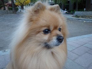 納豆3パックでエイジング?