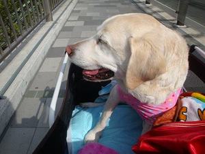 家出のラストチャンス!