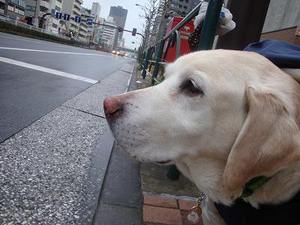 ヴィッキーの日課♪