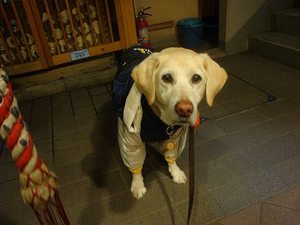 ヴィッキーの日課♪