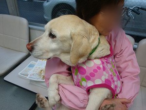看護士犬ビル子、もうすぐ2歳