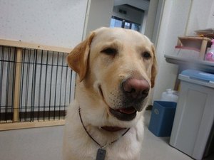注射器ごはん(;^_^A