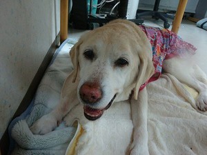 女王様、今日のお好みは?