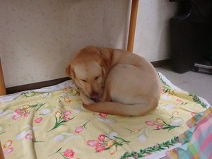 そろそろ通院生活・・・かな(ρ_―)ο