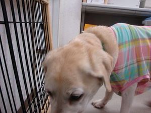 モグモグゴクゴク・・・ちょっとぐるぐる(;^_^A