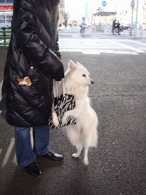ちょっと休憩