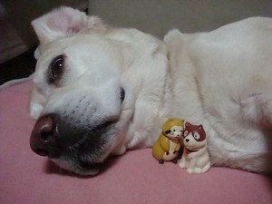 『フランダースの犬』劇場版