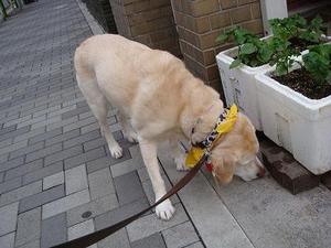 伝説の居酒屋『岸田屋』