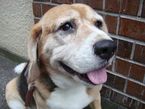 お散歩友達てんこもり♪