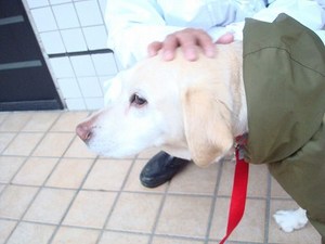 あっちょんぶりけ~♪