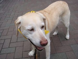食べること<仕事?