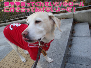 月島観音の豆まき大会