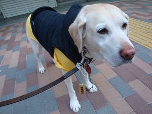 『気持ちを伝える言葉』って