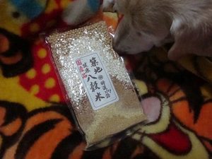 築地・塩田商店の『八穀米』